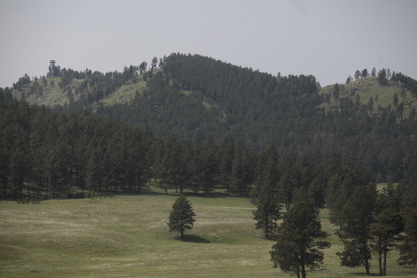 No. 99: Rankin Ridge